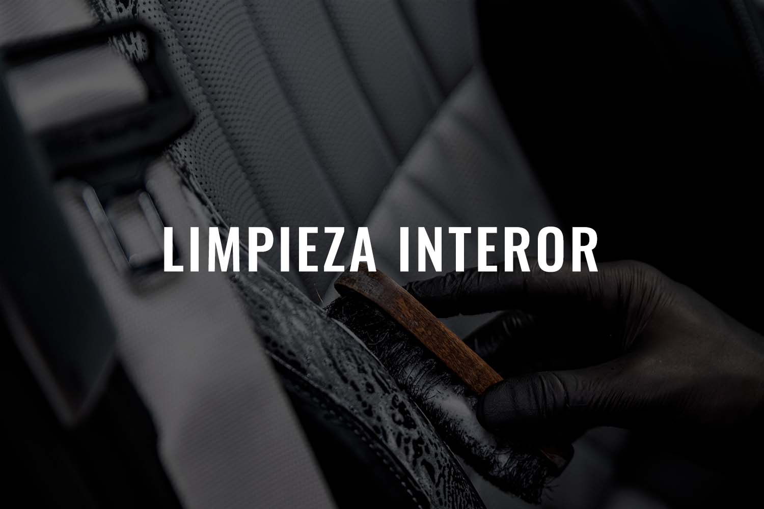 Limpieza interior